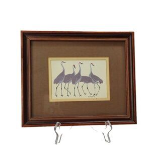 Vintage 1978 Sandhill Cranes Framed Art Print by Wendy Morgan Wyoming, USA